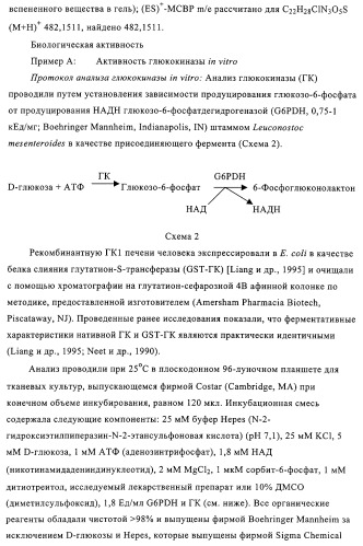 5-замещенные пиразиновые или пиридиновые активаторы глюкокиназы (патент 2310648)