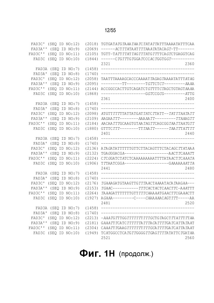 Локусы fad3 для выполнения операций и соответствующие связывающиеся со специфическими сайтами-мишенями белки, способные к вызову направленных разрывов (патент 2665811)