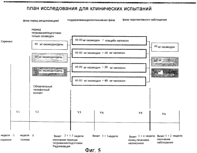 Лекарственная форма, содержащая оксикодон и налоксон (патент 2428985)