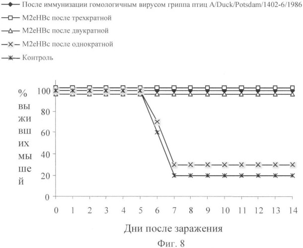 Универсальная вакцина против вируса гриппа птиц (патент 2358981)
