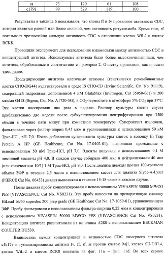 Гуманизированное моноклональное анти-cd20-антитело (патент 2406730)