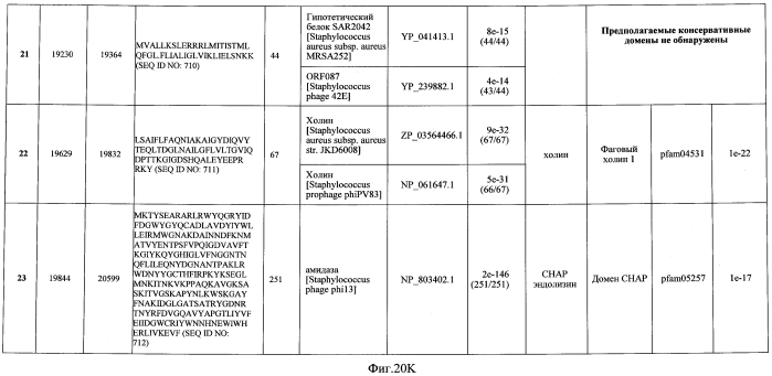 Бактериофаг, обладающий активностью против pseudomonas aeruginosa, белки бактериофага и способы их применения (патент 2580248)