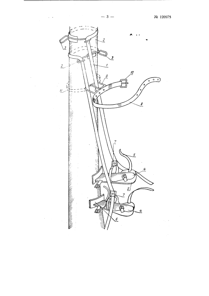 Лазы для подъема на деревья (патент 120978)