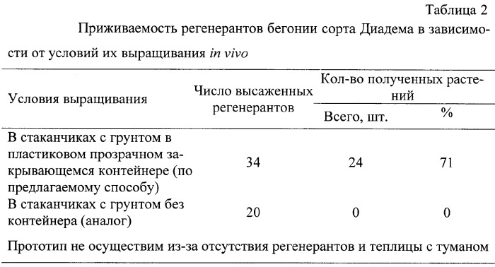 Способ микроклонального размножения листовой бегонии (патент 2290786)