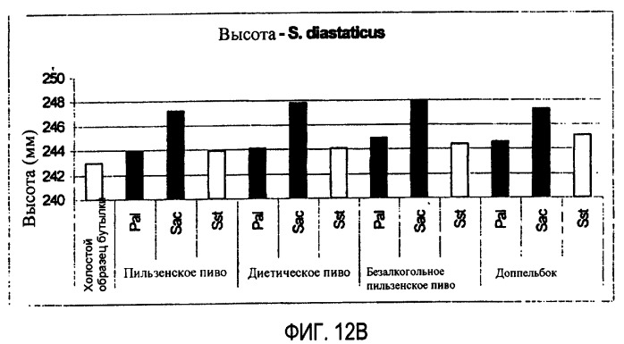 Микробиологически стабилизированное пиво (патент 2380400)