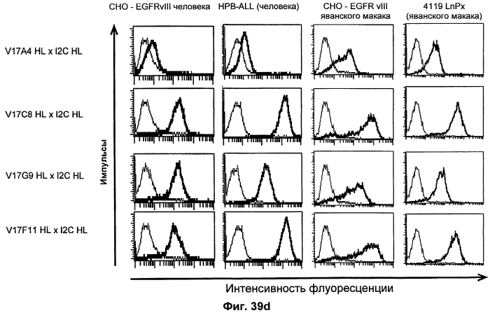 Cd3-эпсилон-связывающий домен с межвидовой специфичностью (патент 2561457)