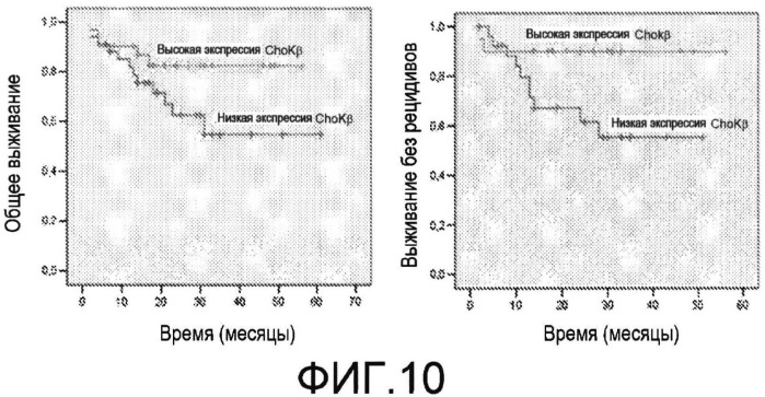 Способы лечения и диагностики рака (патент 2509809)