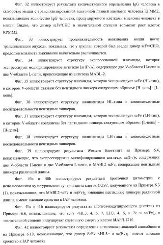 Днк, кодирующая модифицированное антитело или соединение с активностью агониста тро, способ их получения и животная клетка или микроорганизм, их продуцирующие (патент 2422528)