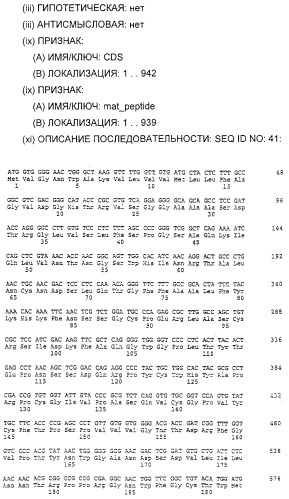 Очищенные белки оболочки вируса гепатита с для диагностического и терапевтического применения (патент 2313363)