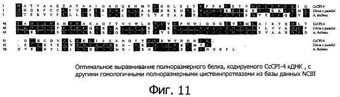 Модуляция уровня предшественников аромата кофе в сырых (необжаренных) кофейных зернах (патент 2348693)