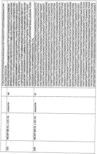 Pscaxcd3, cd19xcd3, c-metxcd3, эндосиалинxcd3, epcamxcd3, igf-1rxcd3 или fap-альфаxcd3 биспецифическое одноцепочечное антитело с межвидовой специфичностью (патент 2547600)