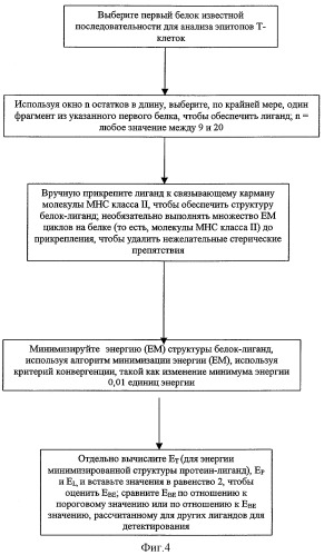Способ идентификации эпитопов т-клеток и его применение для получения молекул со сниженной иммуногенностью (патент 2303264)