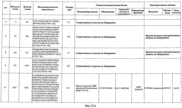 Бактериофаг, обладающий активностью против pseudomonas aeruginosa, белки бактериофага и способы их применения (патент 2580248)