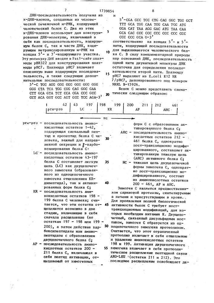 Способ конструирования рекомбинантной плазмидной днк, кодирующей зимоген с человека (патент 1739854)