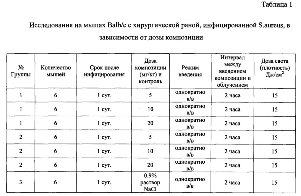 Фотостабильная фармацевтическая композиция для терапии очагов бактериального поражения (патент 2662082)