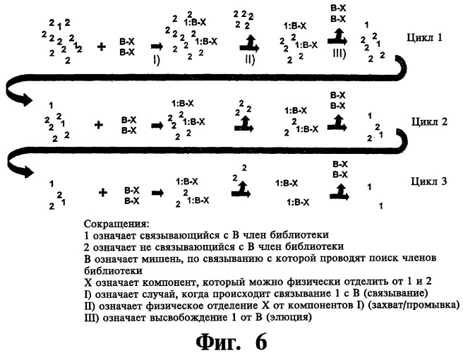 Соединение, содержащее кодирующий олигонуклеотид, способ его получения, библиотека соединений, способ ее получения, способ идентификации соединения, связывающегося с биологической мишенью (варианты) (патент 2459869)