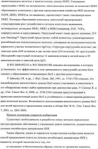 Способ предсказания ответа на лечение (патент 2408735)