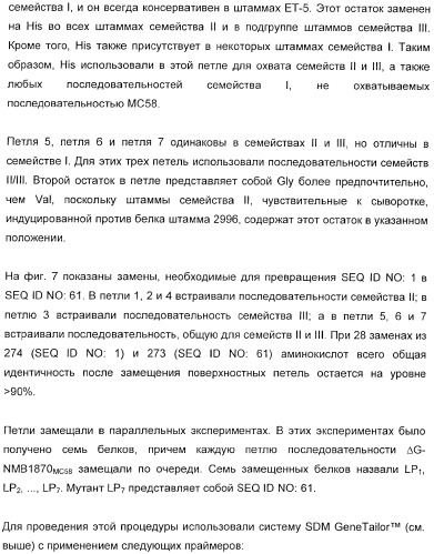 Домены и эпитопы менингококкового белка nmb1870 (патент 2375374)