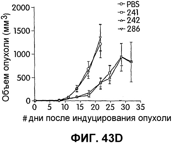 Иммуностимулирующие фосфортиоатные cpg-олигонуклеотиды, содержащие фосфодиэфирные связи, способ иммуномодуляции, способ стимулирования иммунного ответа (патент 2338750)