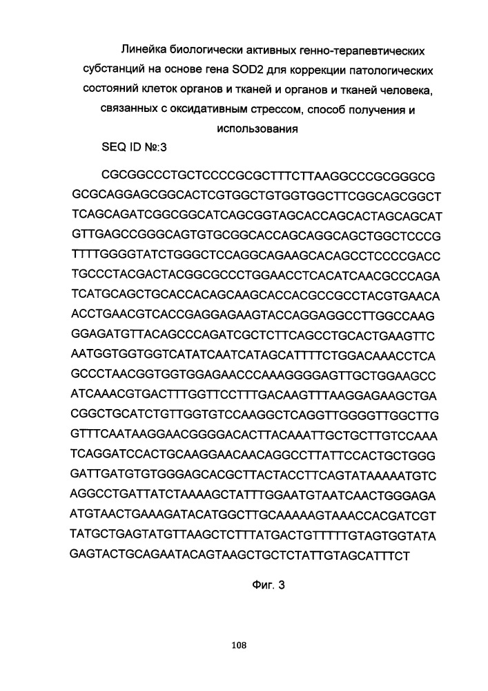 Линейка биологически активных генно-терапевтических субстанций на основе гена sod2 для коррекции патологических состояний клеток органов и тканей и органов и тканей человека, связанных с оксидативным стрессом, способ получения и использования (патент 2651757)