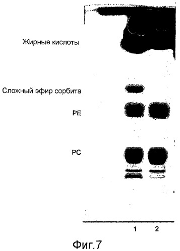 Композиция и способ для получения душистого сложного эфира (патент 2511409)
