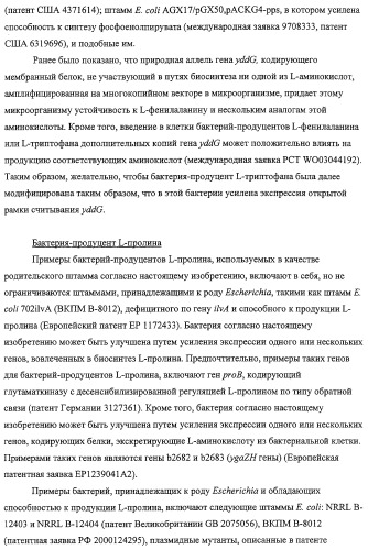 Способ получения l-треонина с использованием бактерии, принадлежащей к роду escherichia, обладающей усиленной экспрессией оперона fucpikur (патент 2318870)