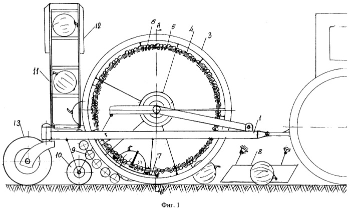 Подборщик плодов бахчевых культур (патент 2265310)