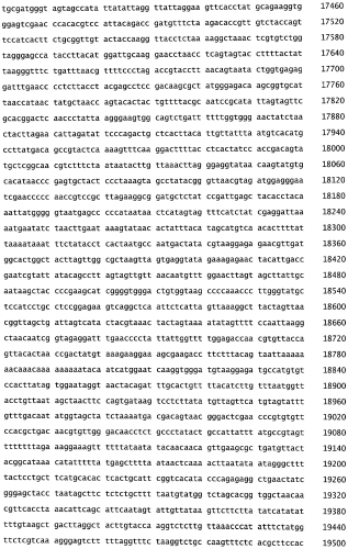 Бактериофаг, обладающий активностью против pseudomonas aeruginosa, белки бактериофага и способы их применения (патент 2580248)