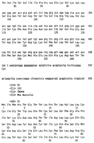Новый лиганд рецептора цитокина zcytor17 (патент 2360923)