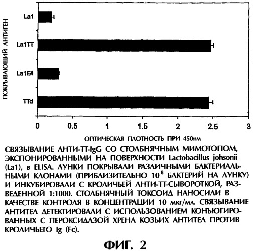 Молочно-кислые бактерии в качестве агентов для лечения и предотвращения аллергии (патент 2312892)