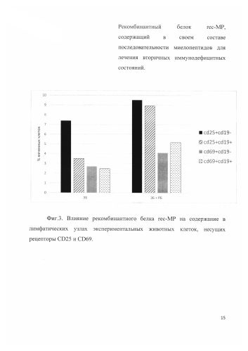Рекомбинантный белок rec-mp, содержащий в своем составе последовательности миелопептидов для лечения вторичных иммунодефицитных состояний (патент 2585494)