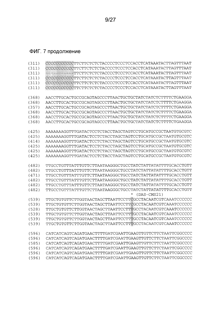 Ген-восстановитель rf4 для цитоплазматической мужской стерильности (cms) c-типа кукурузы, молекулярные маркеры и их применение (патент 2603005)