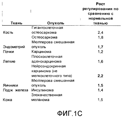 Композиция и способ лечения опухолей (патент 2500815)