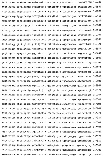 Применение s1p (патент 2362565)