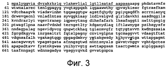 Композиции на основе полипептида  -амилазы из bacillus, вид 195, и их применение (патент 2459867)