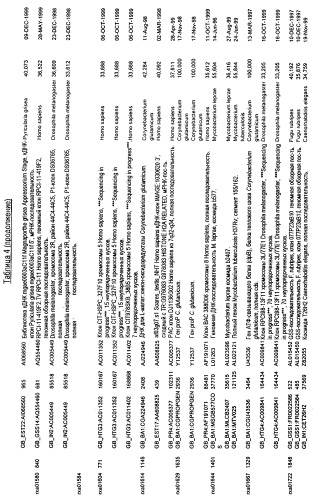 Гены corynebacterium glutamicum, кодирующие белки, участвующие в синтезе мембран и мембранном транспорте (патент 2312145)