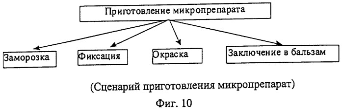 Способ микроскопического исследования образца (патент 2318201)