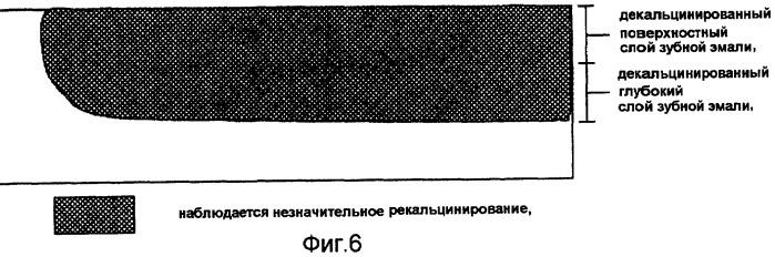 Ускоритель рекальцинирования зубной эмали, композиция для ухода за полостью рта и содержащие его пищевой продукт или напиток (патент 2396969)