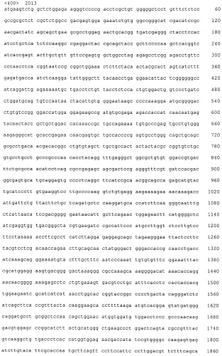 Pscaxcd3, cd19xcd3, c-metxcd3, эндосиалинxcd3, epcamxcd3, igf-1rxcd3 или fap-альфаxcd3 биспецифическое одноцепочечное антитело с межвидовой специфичностью (патент 2547600)