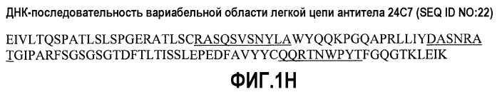 Антитела против альфа5-бета 1 и их применение (патент 2528736)