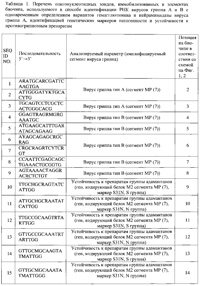 Способ идентификации рнк вирусов гриппа а и в с одновременным определением вариантов гемагглютинина и нейраминидазы вируса гриппа а, идентификацией генетических маркеров патогенности и устойчивости к противогриппозным препаратам на биологических микрочипах, биочип, набор олигонуклеотидных зондов, используемые в способе (патент 2603000)