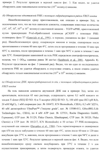 Бесконтактные способы обнаружения молекулярных колоний, наборы реагентов и устройство для их осуществления (патент 2394915)