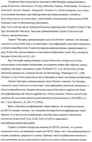 Способ получения l-треонина с использованием бактерии, принадлежащей к роду escherichia, обладающей усиленной экспрессией оперона fucpikur (патент 2318870)