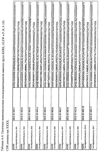 Аминокислотные последовательности, направленные на rank-l, и полипептиды, включающие их, для лечения заболеваний и нарушений костей (патент 2481355)