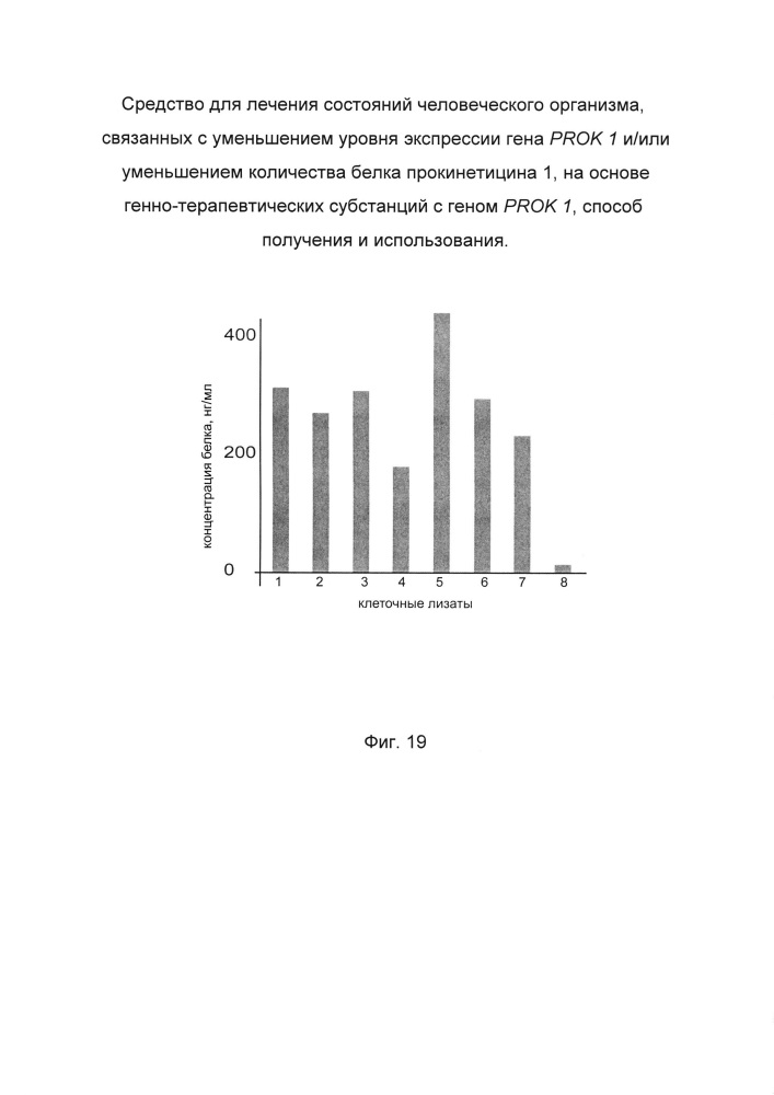 Средство для лечения состояний человеческого организма, связанных с уменьшением уровня экспрессии гена prok 1 и/или уменьшением количества белка прокинетицина 1 на основе генно-терапевтических субстанций с геном prok 1, способ получения и использования (патент 2662944)