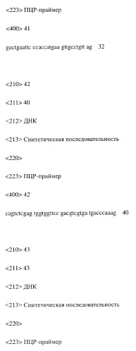 Модифицированное агонистическое антитело (патент 2295537)