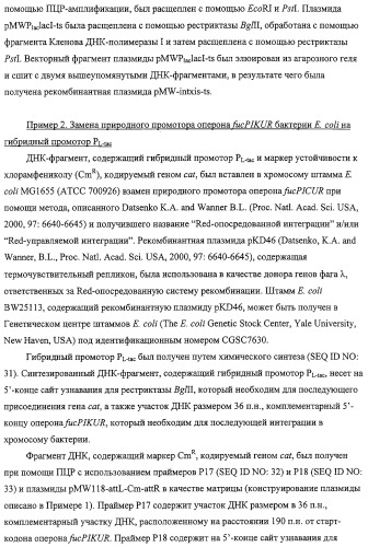 Способ получения l-треонина с использованием бактерии, принадлежащей к роду escherichia, обладающей усиленной экспрессией оперона fucpikur (патент 2318870)