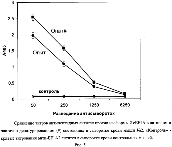 Синтетический пептид для получения моноспецифичных антител против изоформы 2 эукариотического фактора элонгации трансляции 1а (патент 2562880)