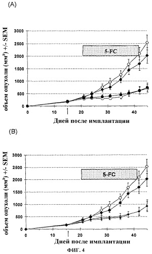 Поксвирусные онколитические векторы (патент 2508401)