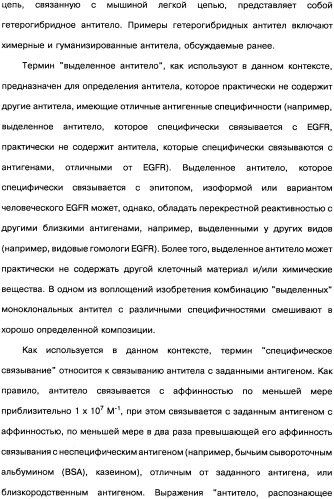 Человеческие моноклональные антитела к рецептору эпидермального фактора роста (egfr), способ их получения и их использование, гибридома, трансфектома, трансгенное животное, экспрессионный вектор (патент 2335507)